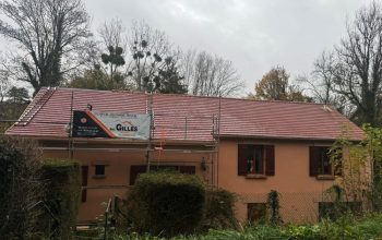 Couvreur Nesles-la-Vallée 95690 – Nettoyage toiture