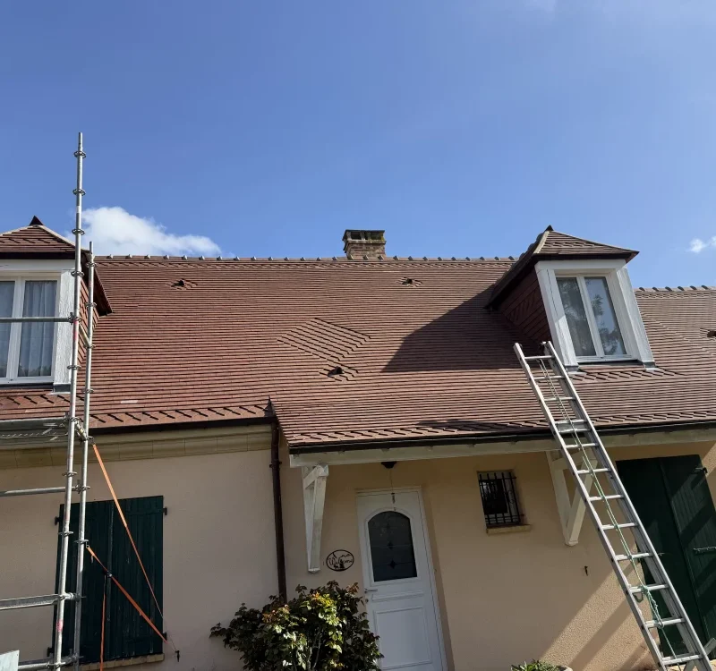 Peinture sur chien assis Auvers a Auvers-sur-Oise 95430 - vue generale